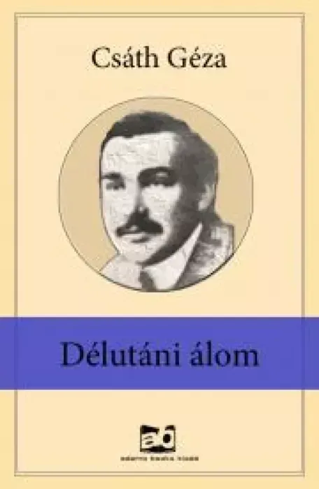 Végkiárusítás Délutáni álom - E-könyv