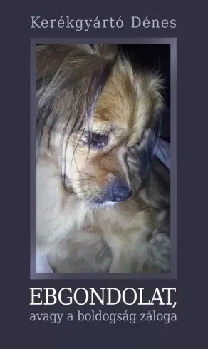 Árcsökkenés Ebgondolat, avagy a boldogság záloga - E-könyv