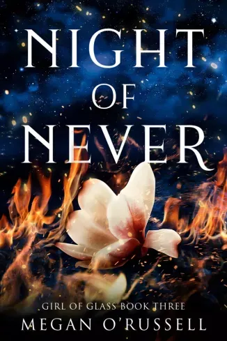 Night of Never - E-könyv Szezonális akció