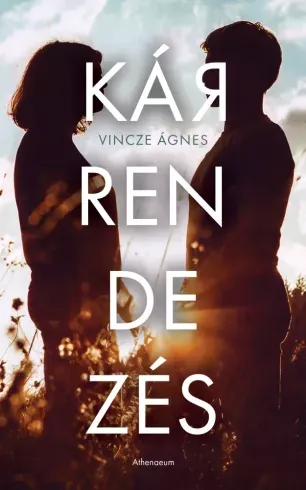 Kiárusítás Kárrendezés - E-könyv