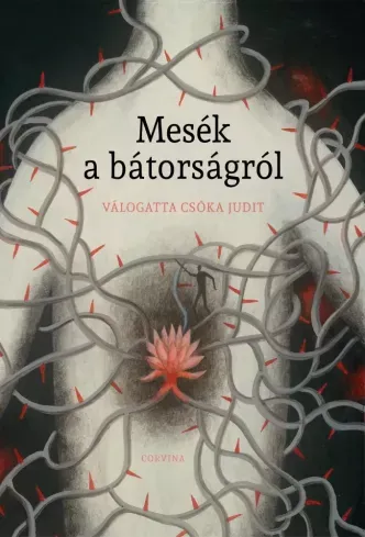 Mesék a bátorságról - E-könyv Expressz kézbesítés