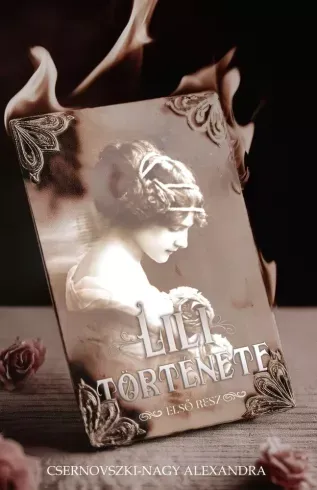 Akciós ár Lili története - E-könyv