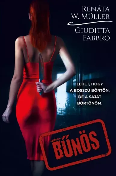 Bűnös - E-könyv Újdonság