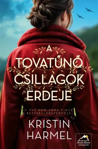 Árengedmény A tovatűnő csillagok erdeje - E-könyv