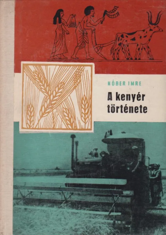 Nézd meg most A kenyér története