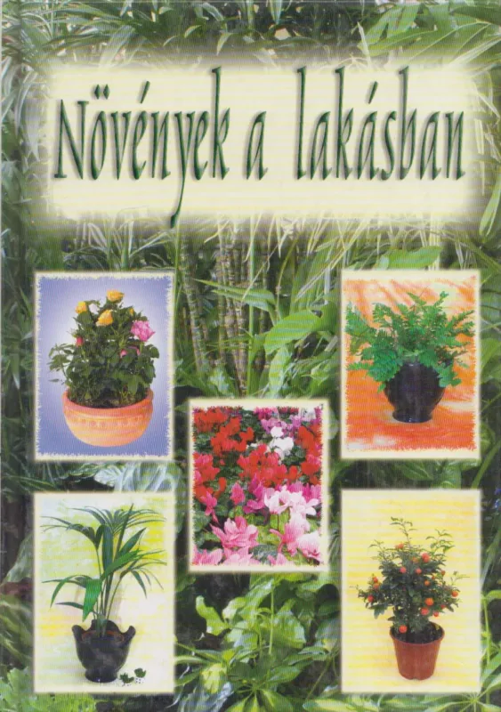 Azonnali szállítás Növények a lakásban