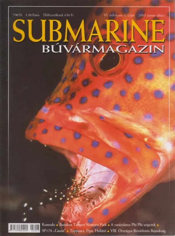 Ajánlat Submarine VI./3. 2005. június-július