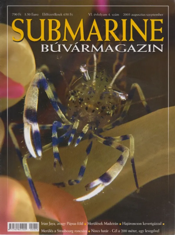 Submarine VI./4. 2005. augusztus-szeptember Árcsökkenés