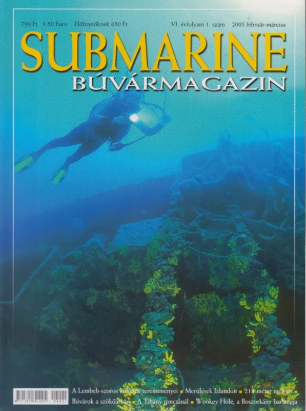 Submarine VI./1. 2005 február-március Szuper akció