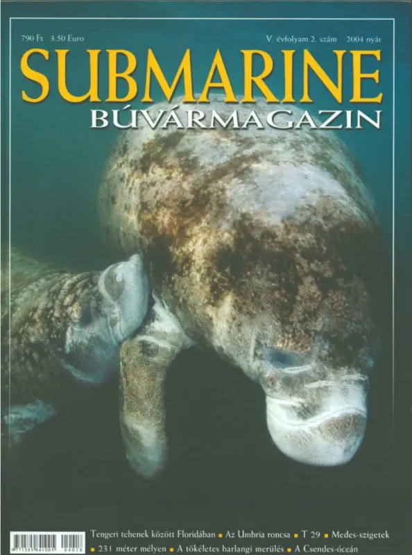 Csak ma Submarine V. évf. 2. szám 2004 nyár