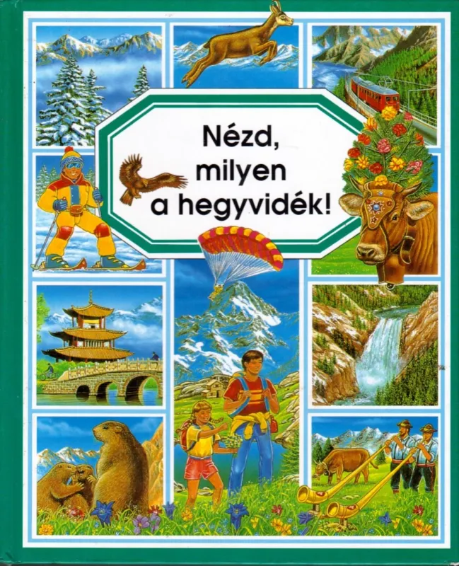 Vásárlói kedvenc Nézd, milyen a hegyvidék!