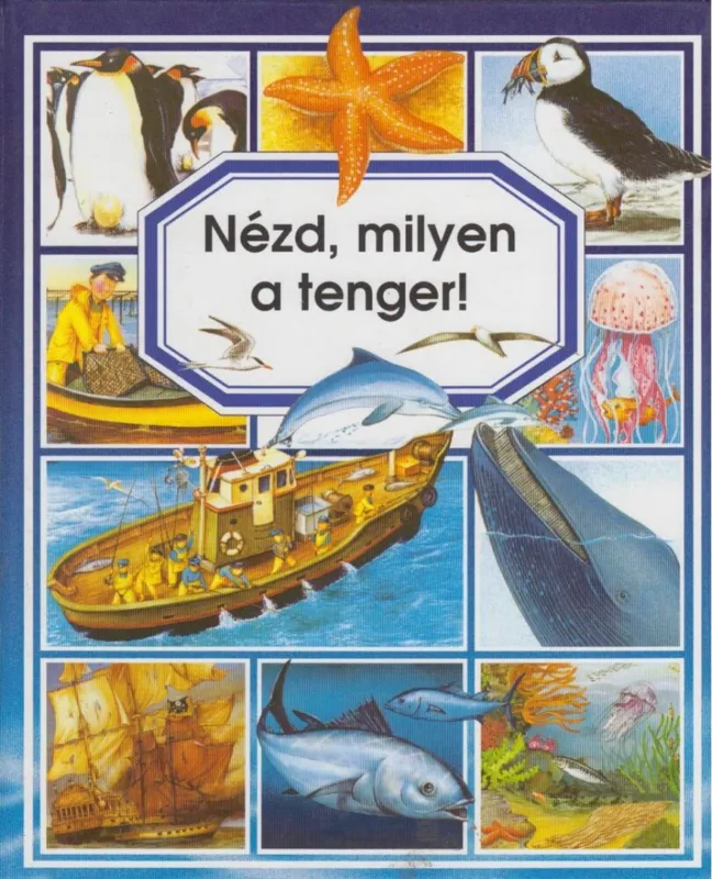 Nézd, milyen a tenger! Végkiárusítás