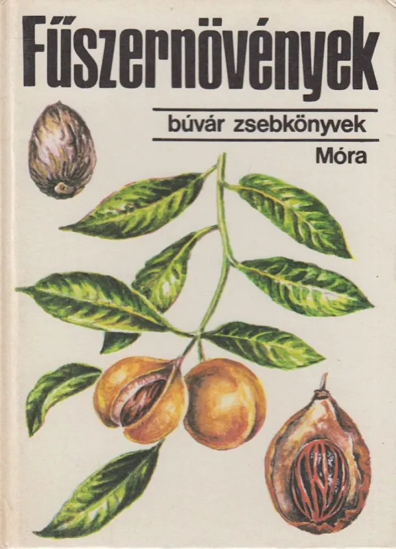 Fűszernövények Ne maradj le