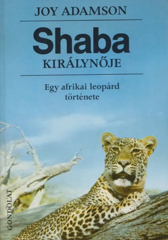 Shaba királynője Árcsökkenés