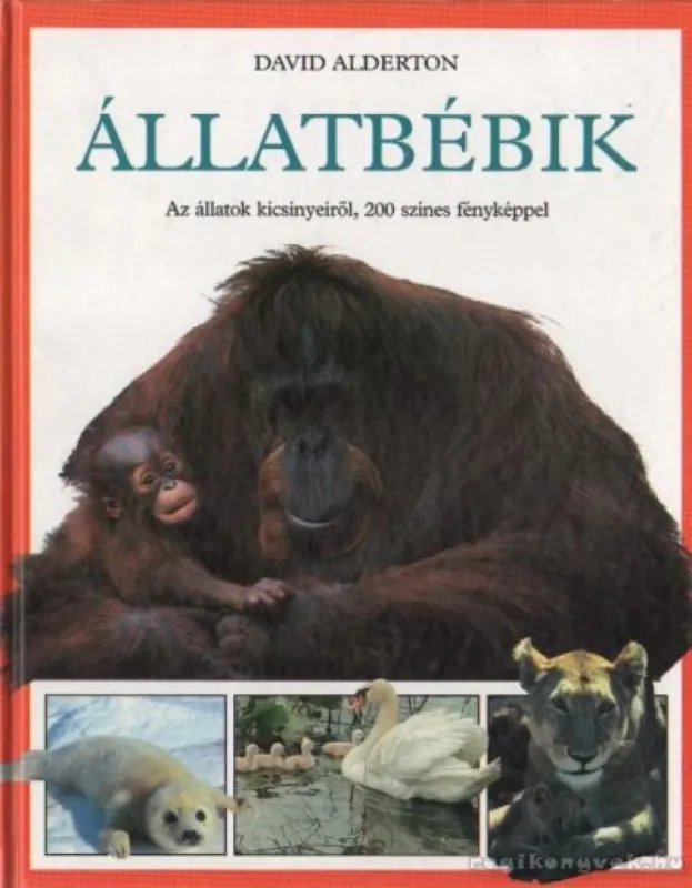 Gyors szállítás Állatbébik