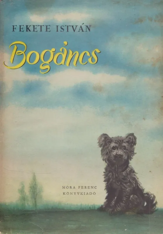 Nézd meg most Bogáncs