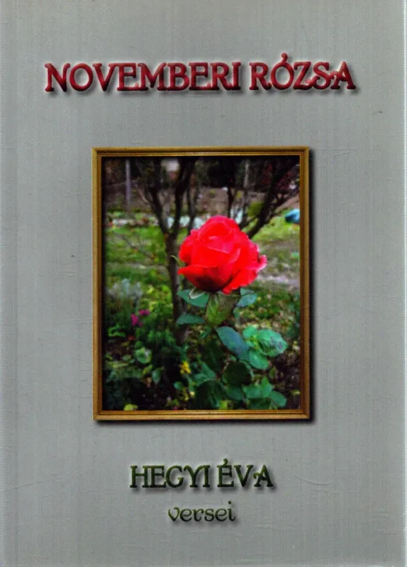 Gyors szállítás Novemberi rózsa