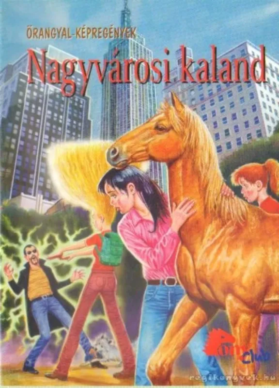 Nagyvárosi kaland Biztonságos fizetés