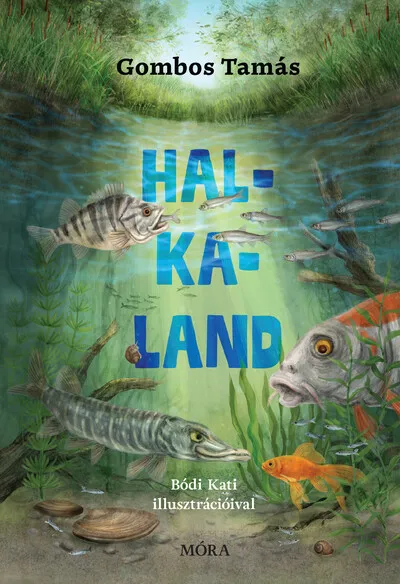 Halkaland Különleges ajánlat