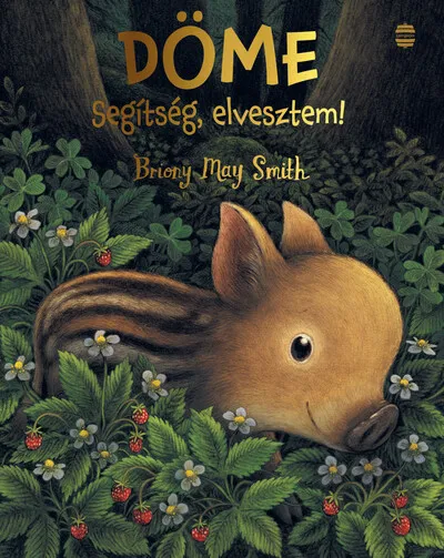 Bestseller Döme - Segítség, elvesztem!