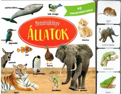 Memóriakönyv: Állatok - 40 memóriakártyával Alacsony ár