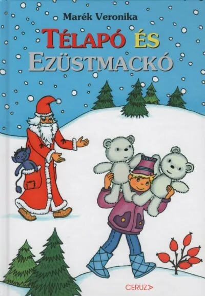 Nézd meg most Télapó és ezüstmackó (2. kiadás) §K