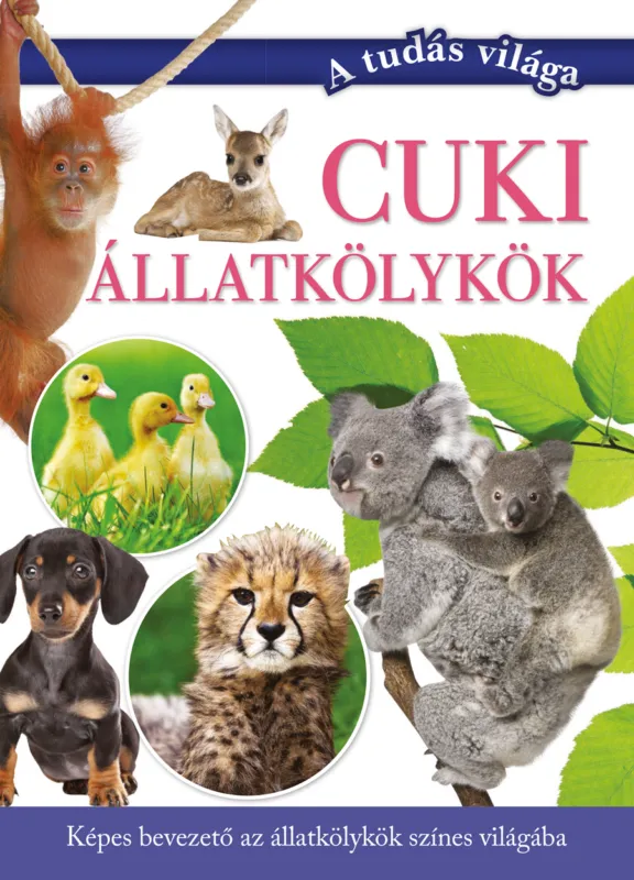 Cuki állatkölykök Újdonság