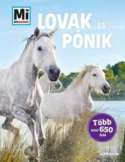 Lovak és pónik - album - Több mint 650 fotó - Mi MICSODA Akció