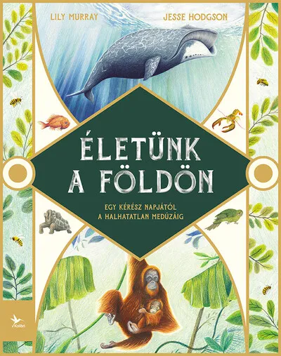Életünk a Földön - Egy kérész napjától a halhatatlan medúzáig Népszerű