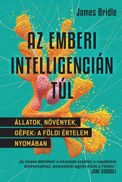 Csak ma Az emberi intelligencián túl - Állatok, növények, gépek: a földi értelem nyomában