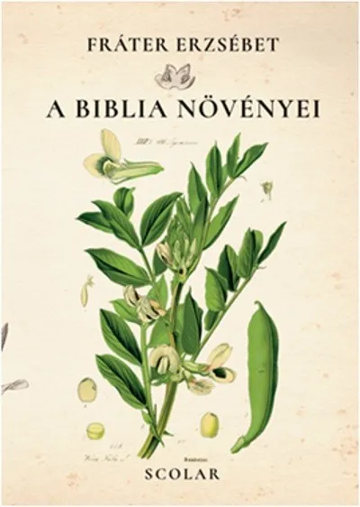 Korlátozott ajánlat A biblia növényei