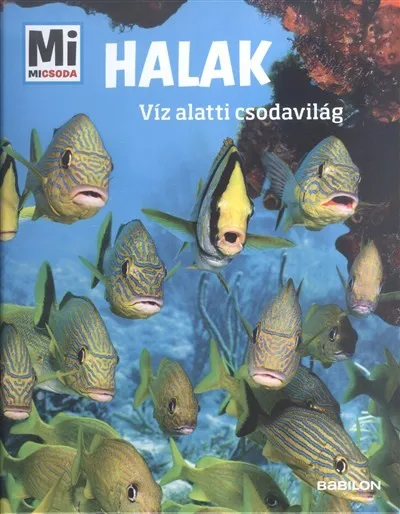 Biztonságos vásárlás Halak - Víz alatti csodavilág /Mi Micsoda